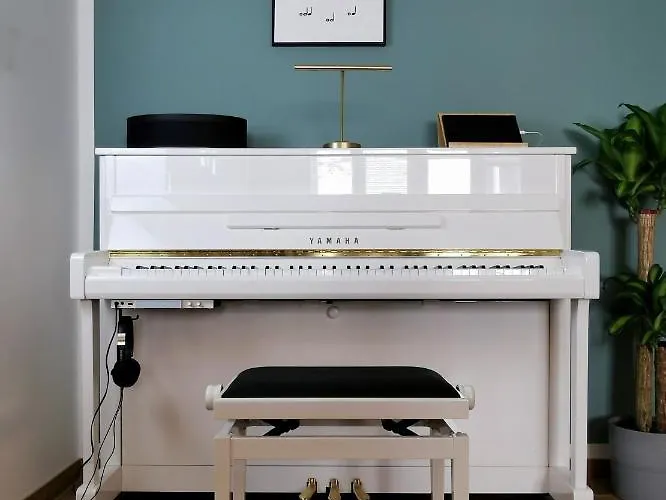Neues Center Piano Mit Netflix דירה קלגנפורט